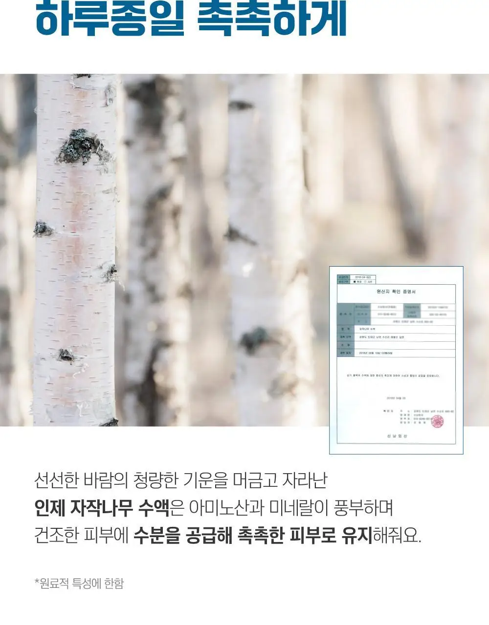 [쿨링진정] 라운드랩 자작나무 수분 수딩젤 150ml 상세페이지 4